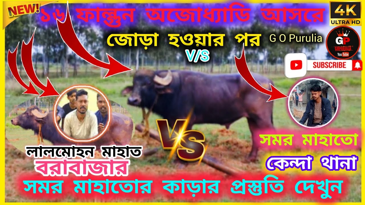 😈সমর মাহাতোর vs লালমোহন মাহাতো☠️ কারার হাই ভোল্টেজ প্রস্তুতি অযোধ্যা ডিহের জন্য