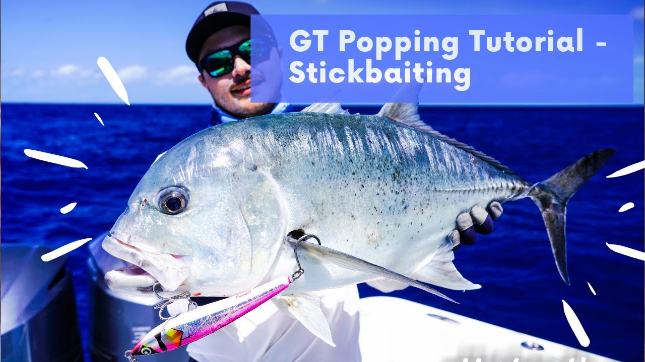 GT Popping tutorial Part 4, how to work a stickbait!