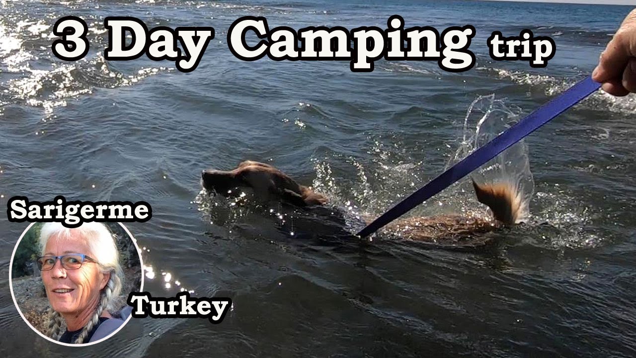 Three Day Camping Trip - Will Timo Pass The Test Ep II