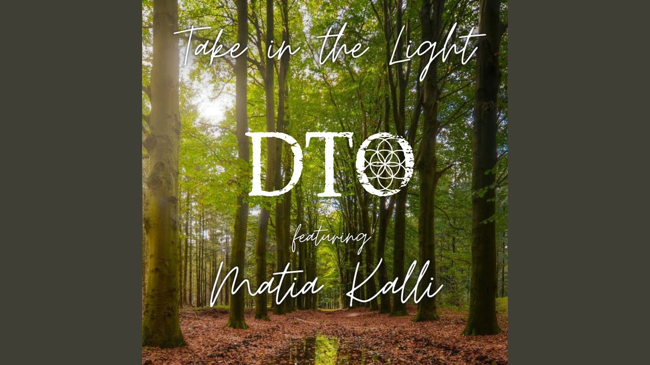 Take in the Light