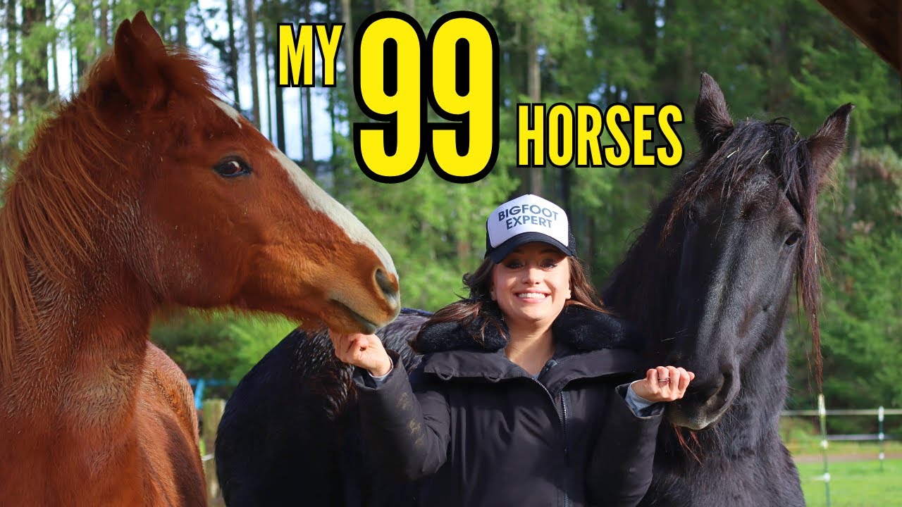 Meet My 99 Horses Living On One Acre (MAGICAL)