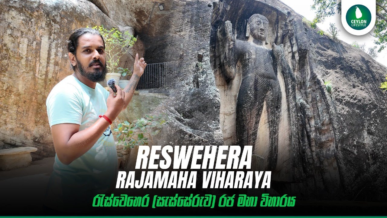 වන අරණේ රහතුන් වැඩි මඟ 
