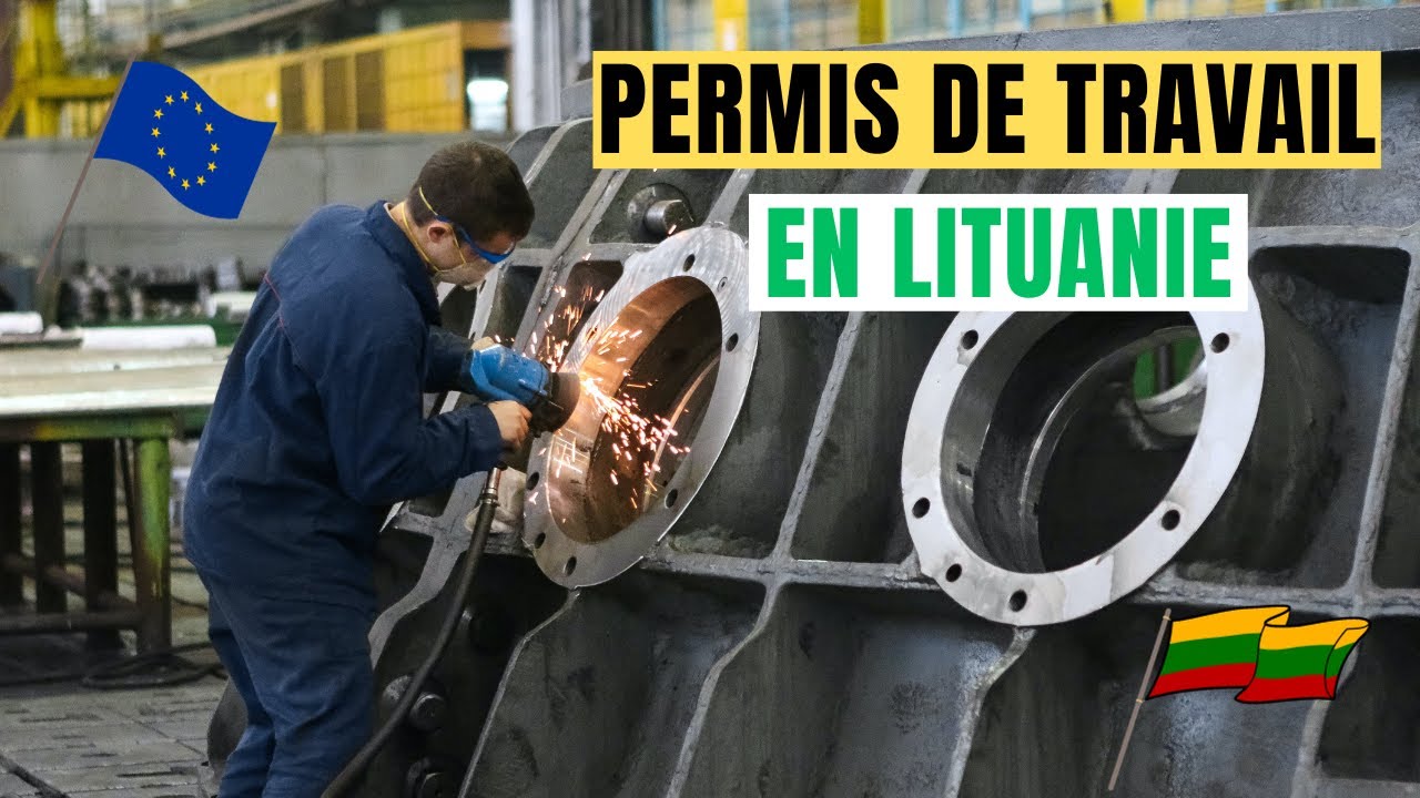 COMMENT OBTENIR LE PERMIS DE TRAVAIL EN LITUANIE EN 15 JOURS #lithuania #workpermit #lifeabroad #68