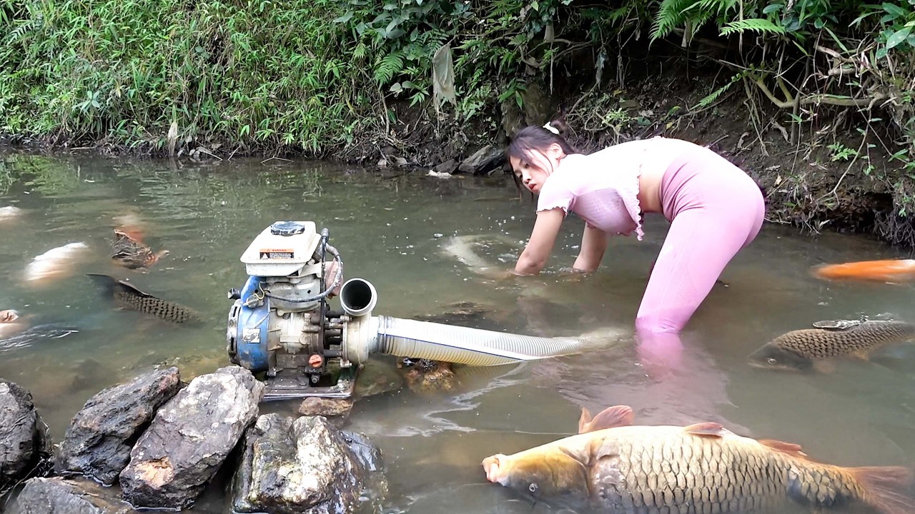 Techniques for Trapping Fish: How to Make a Raft House, Lucky day meet a huge school of fish