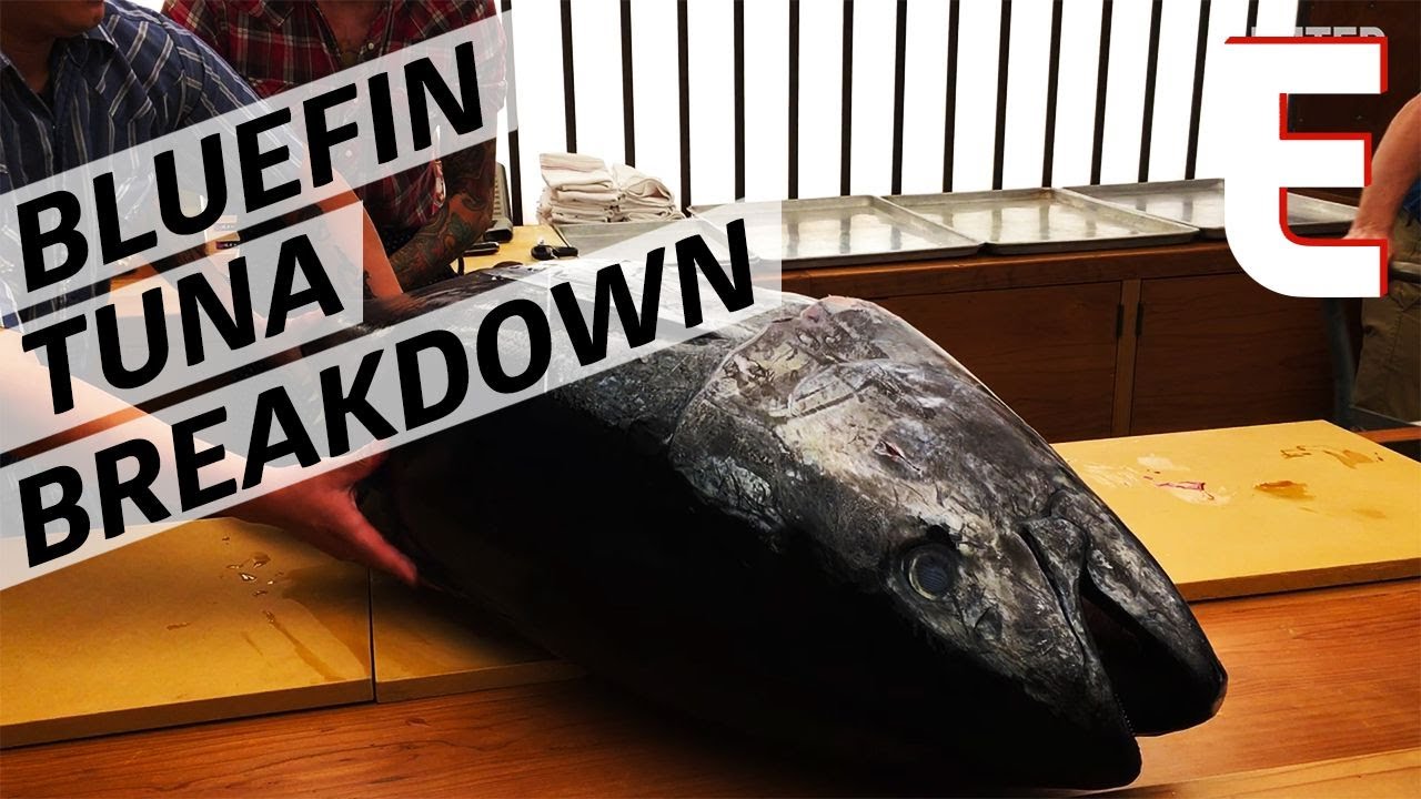 How to Break Down A 155 Pound Sustainably-Caught Bluefin Tuna &mdash; The Process