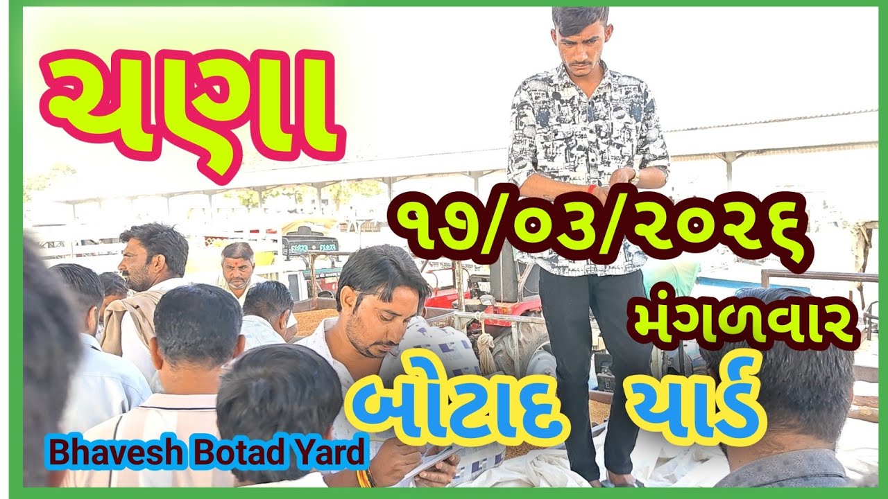 ચણા ના ભાવ બોટાદ માર્કેટિંગ યાર્ડ 17/03/2026 || Botad Marketing Yard ||#bhaveshbotadyard