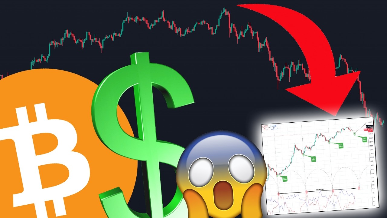 BITCOIN HOLDERS... YOU NEED TO SEE THIS CHART