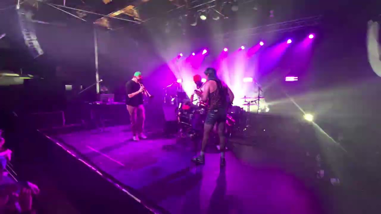 @toomanyzoozofficial Too Many Zooz Live