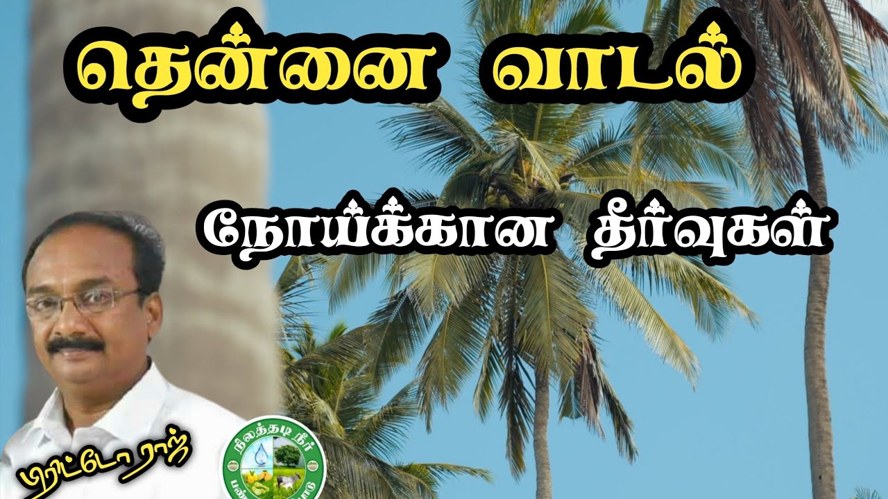 தென்னை வாடல் நோய்க்கான தீர்வுகள்| பிரிட்டோ ராஜ் 9944450552