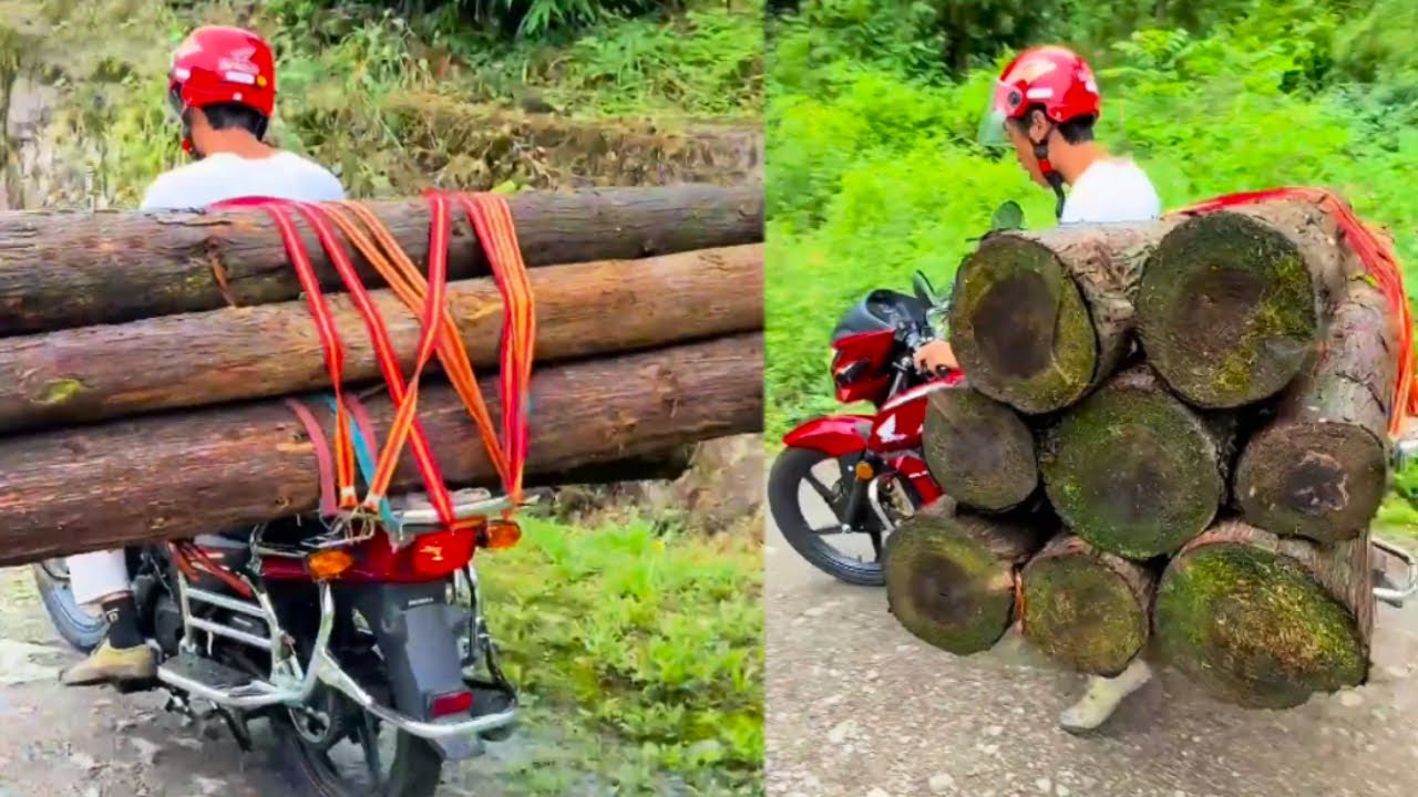 Motorcycles Strapped With Massive Amounts Of Timber! An Amazing Transport Process#help #funny