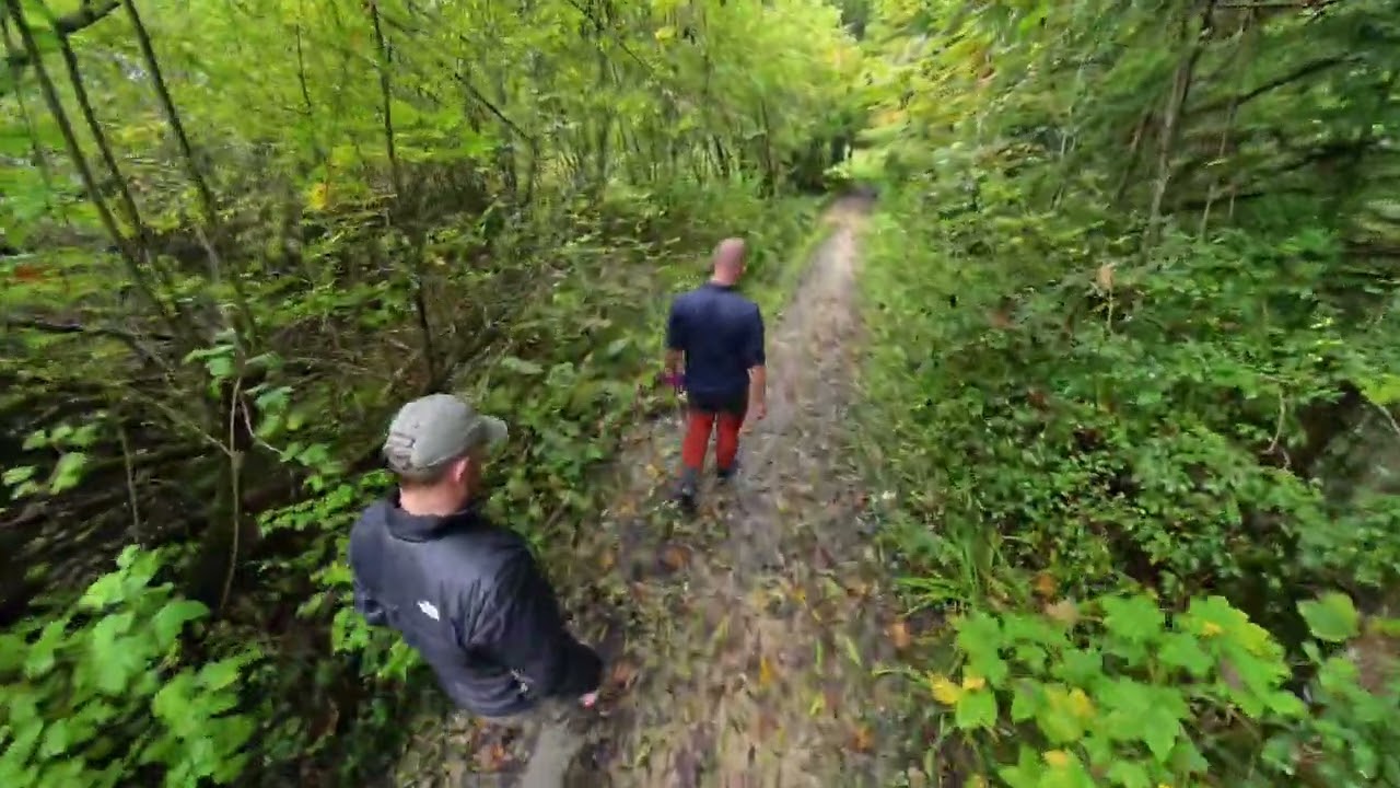 In search of the Mooslahnerkopf Teehaus