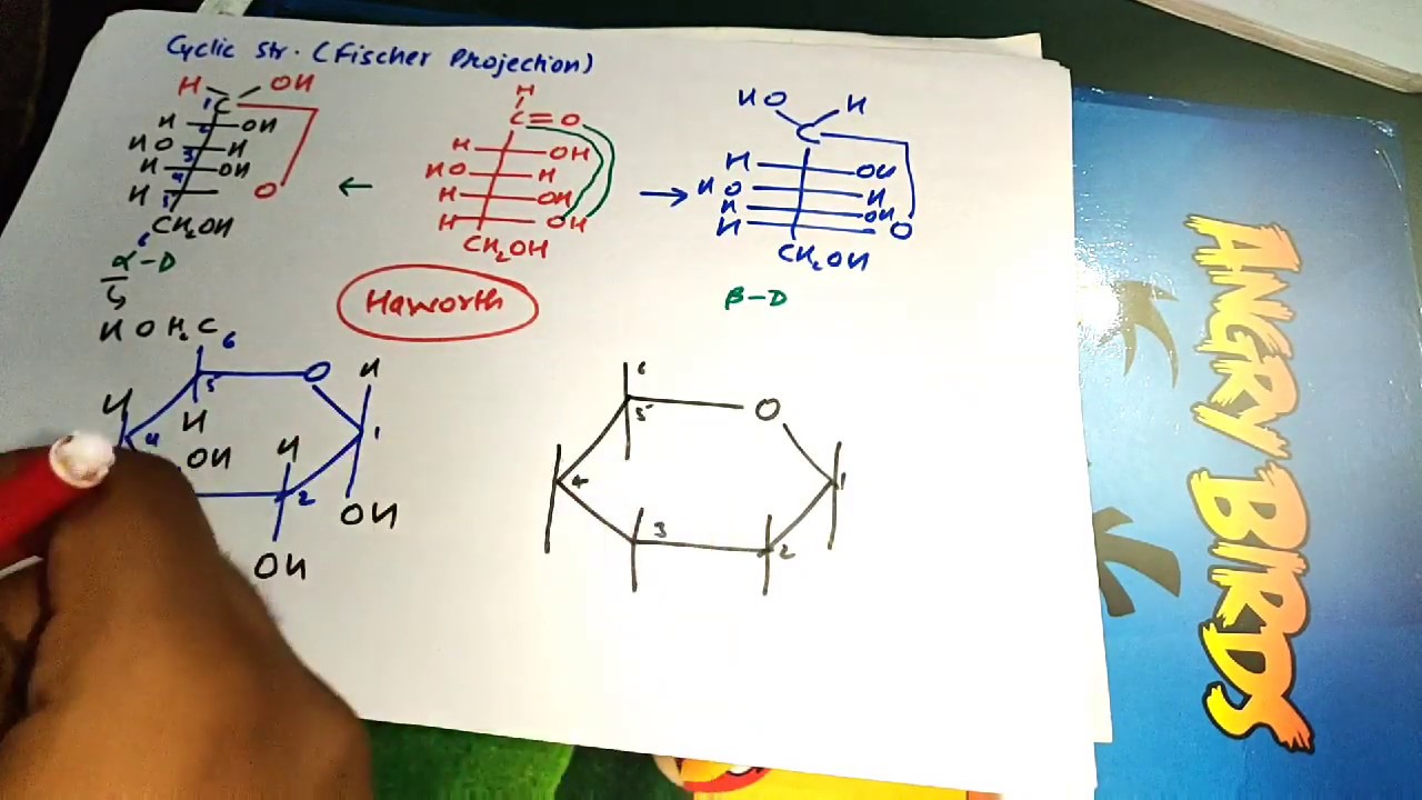 Super Trick for Haworth and Fischer Projection of Glucose and Fructose | Part 1 | Carbohydrates |