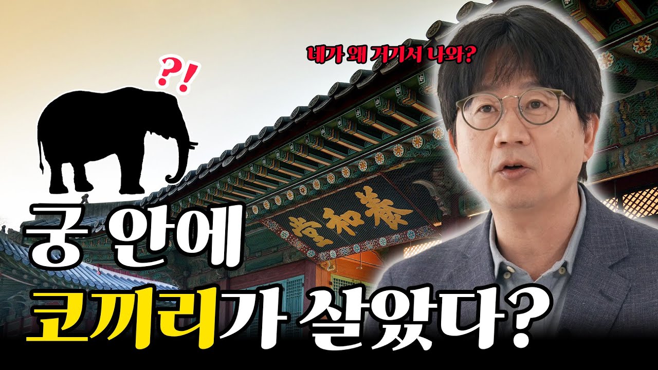 [ENG] 이름을 되찾은 궁이 있다? 창경궁 명칭환원 40주년 궁중문화축전 가기 전 꼭 알아야 창경궁 이야기