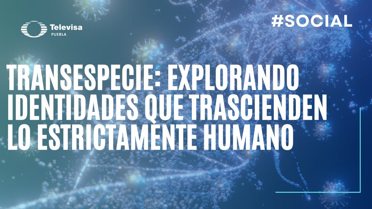 Transespecie: Más allá de la identidad humana