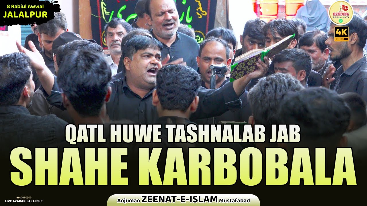 Qatl Huwe Tashnalab Jab Shahe Karbobla | Anjuman Zeenate Islam Mustafabad | Juloose Amari Mustafabad