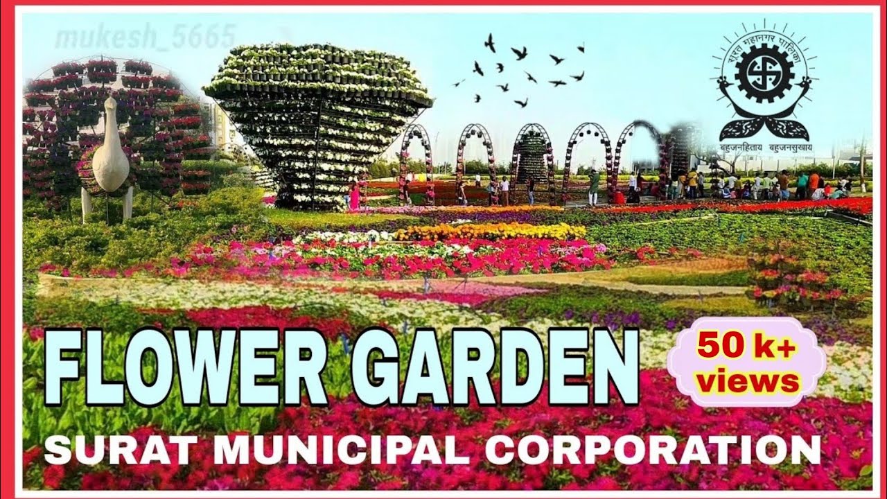 New Dindoli Flower Garden Surat 2022/Dindoli Floral Garden/kids zone/photo shoot/Best Garden/SMC