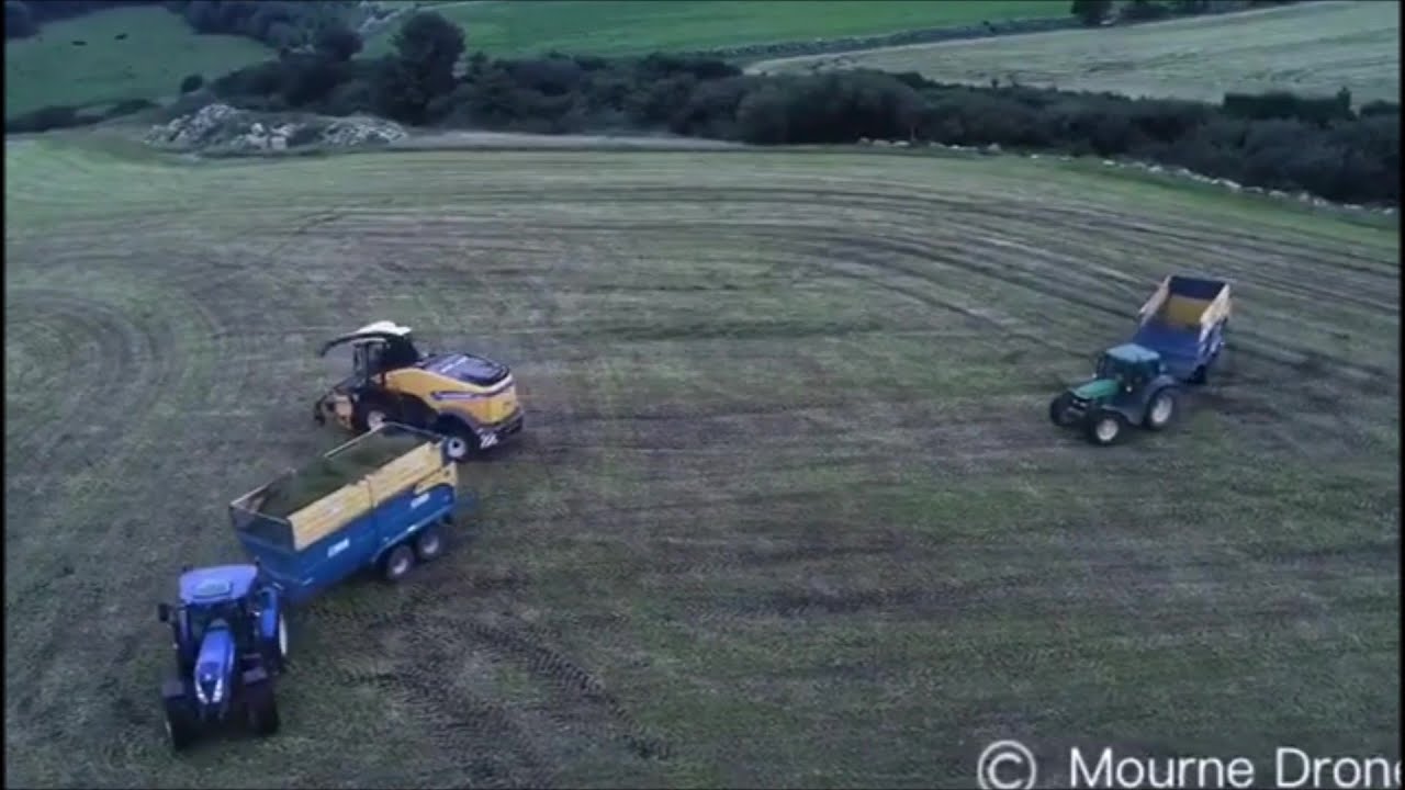 HAMILTON CONTRACTS LIFTING GRASS