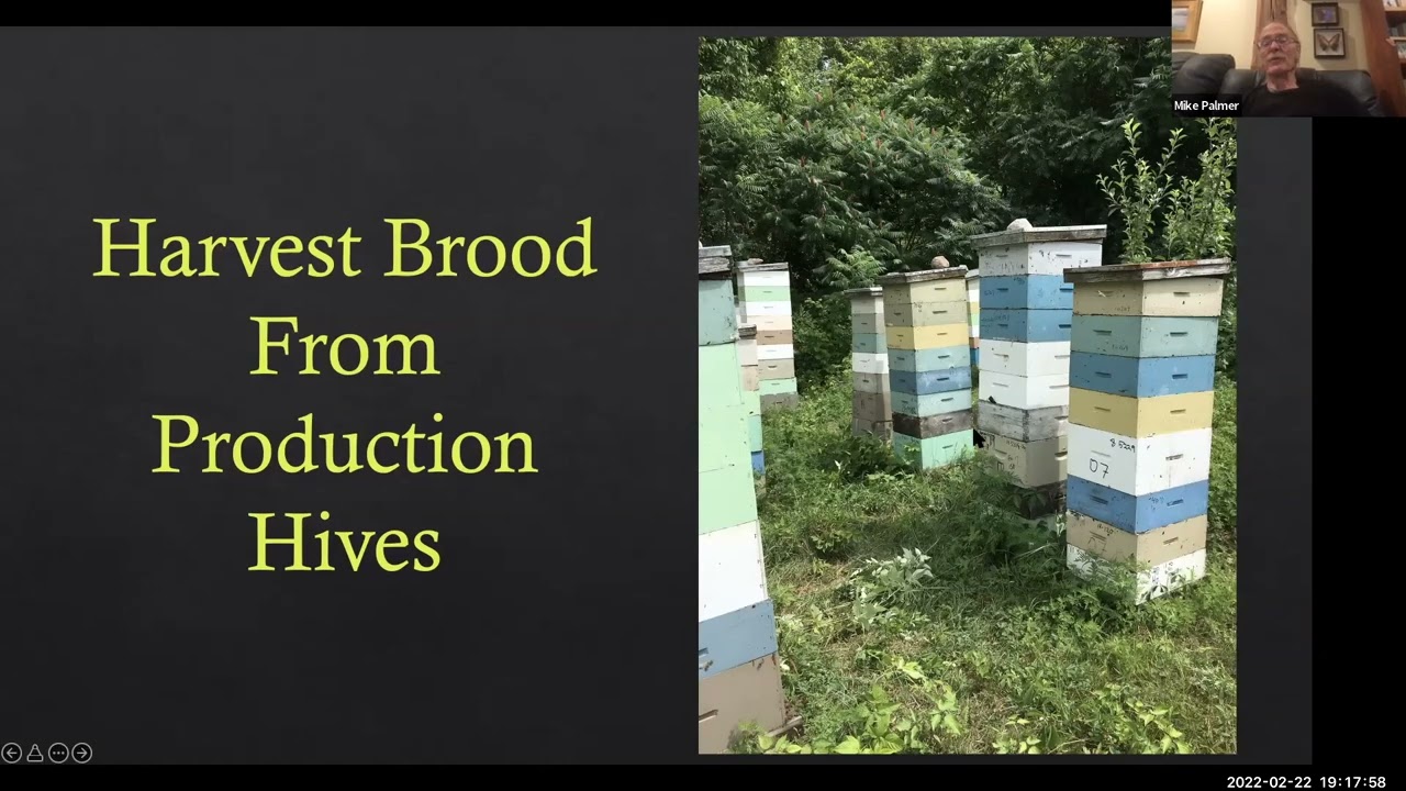 Brood Factories, Michael Palmer - a NY Bee Wellness webinar