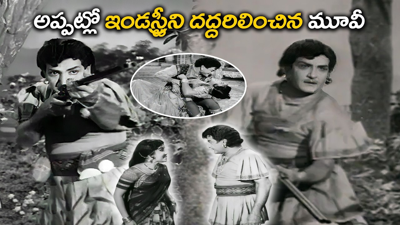 Sr NTR Ultimate Action Telugu Old Blockbuster Movie Scene | Telugu Sr.NTR Interesting Movie Scene