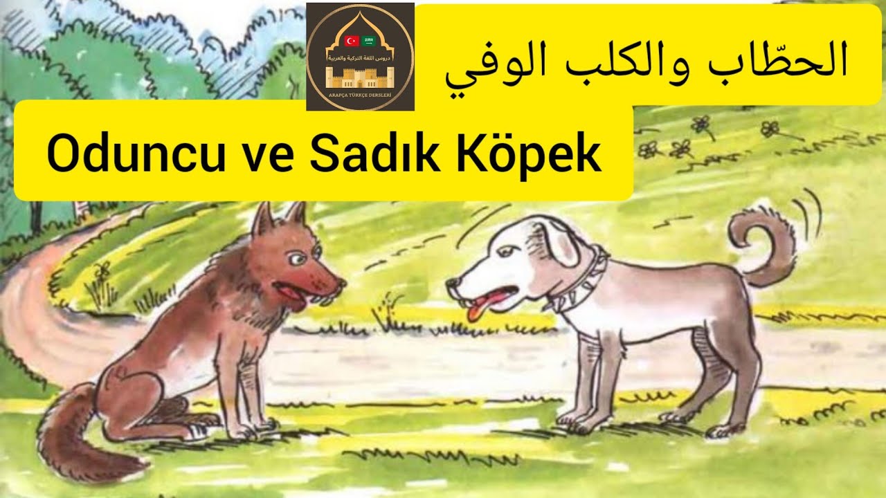 Arapça hikaye serisi / القصة باللغة التركية