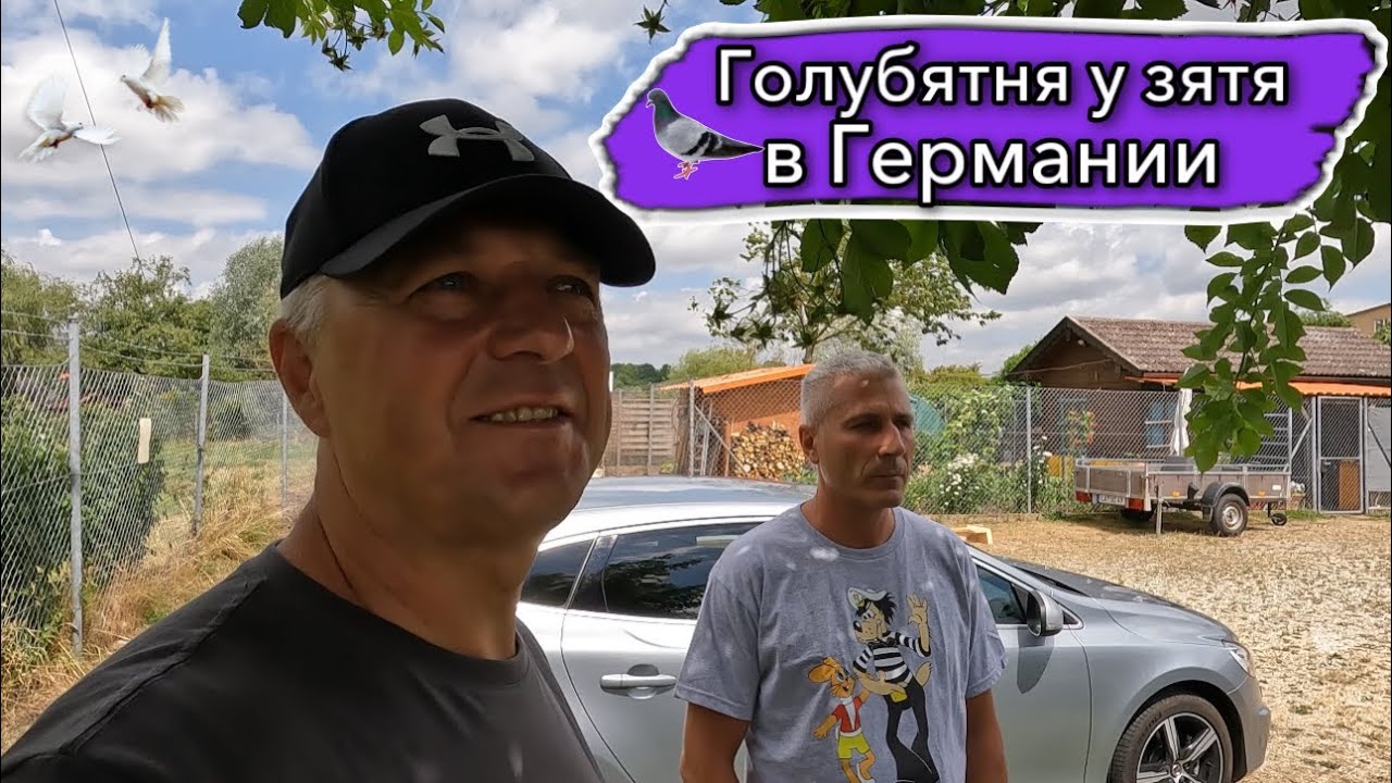 Мы и здесь голубей разводим.Дача.Фермерский магазин.Объелся черешни.