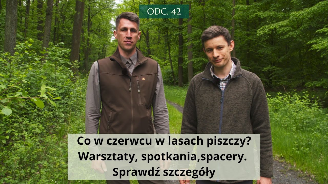 Co w czerwcu w lasach piszczy? #42