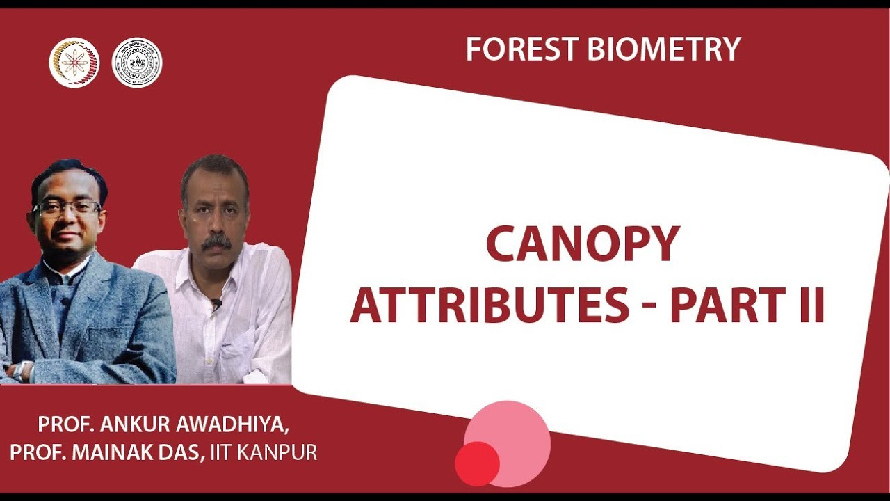 Canopy attributes - part II