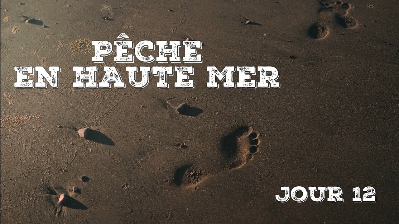 ✅️ Jour 12 | Costa Rica avec FisHunter Jay's🎣 Pêche OffShore à l'Espadon Voilier sur le Pacifique 🇨🇷