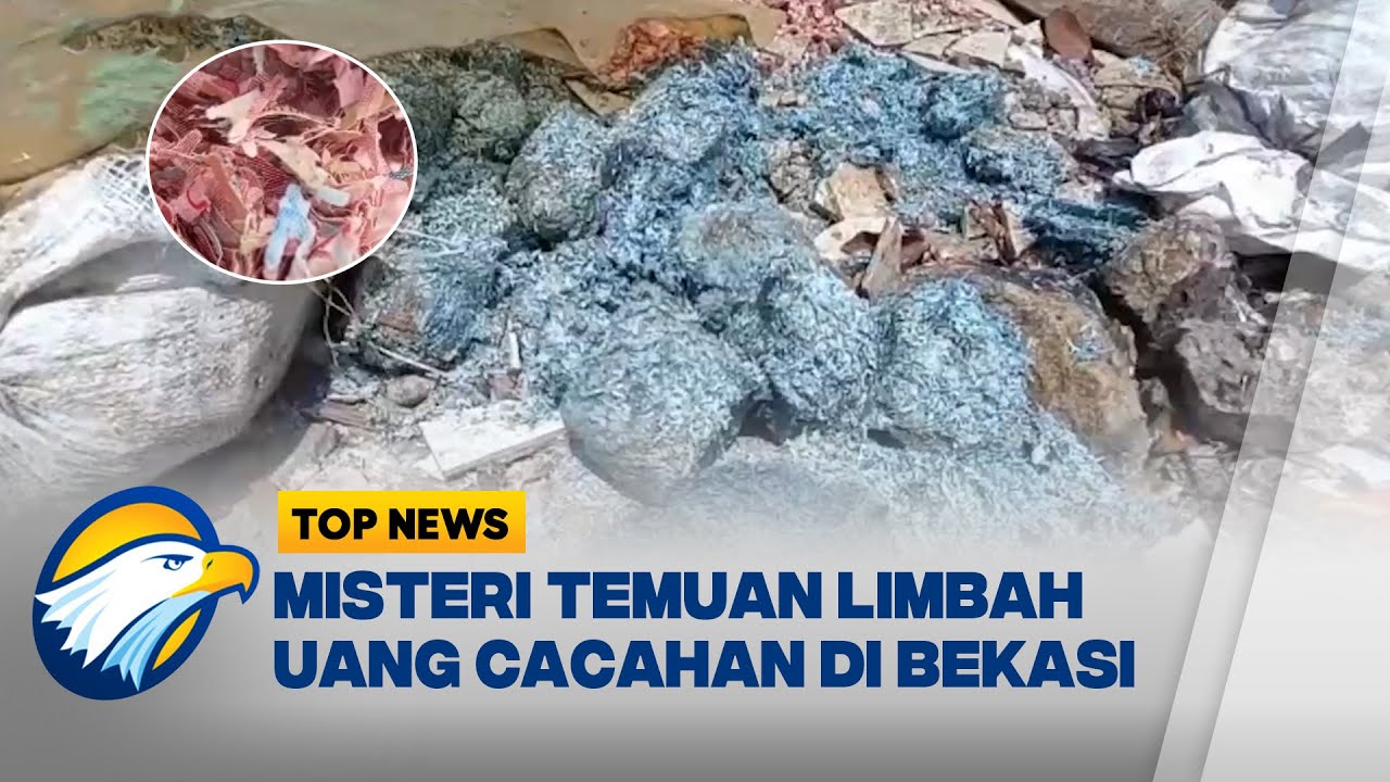 Terungkap Cacahan Uang yang Dibuang di Bekasi Ternyata Limbah Bank Indonesia - [Top News]