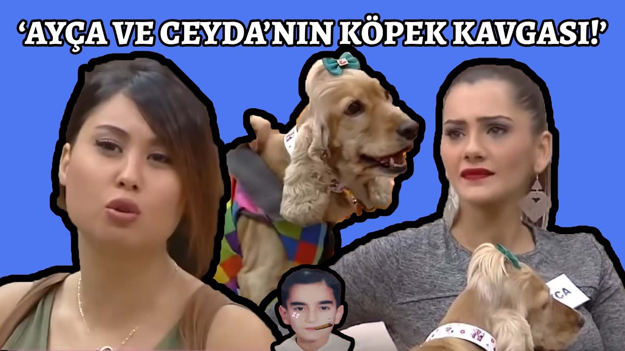 Tssigalko Kısmetse Olur İzliyor Vol 115 | AYÇA VE CEYDA’NIN KÖPEK KAVGASI!