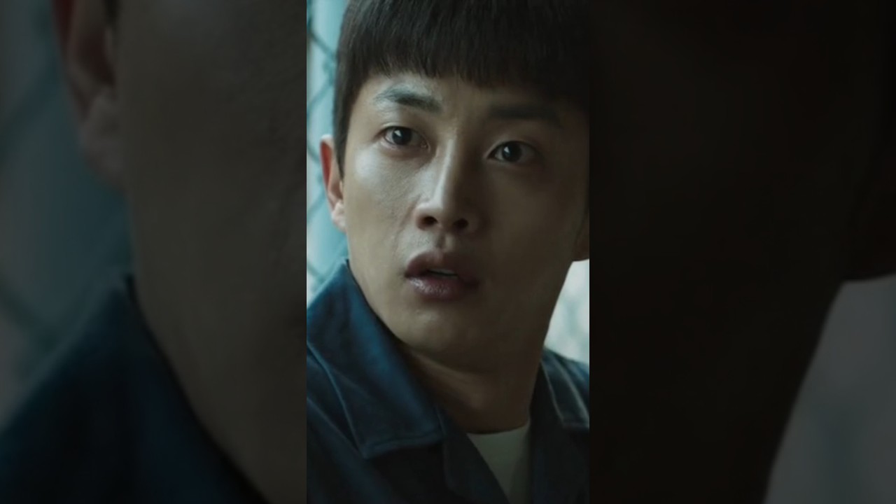 A weak boy has turned into a professional fighter | Shark the beginning Korean movie|