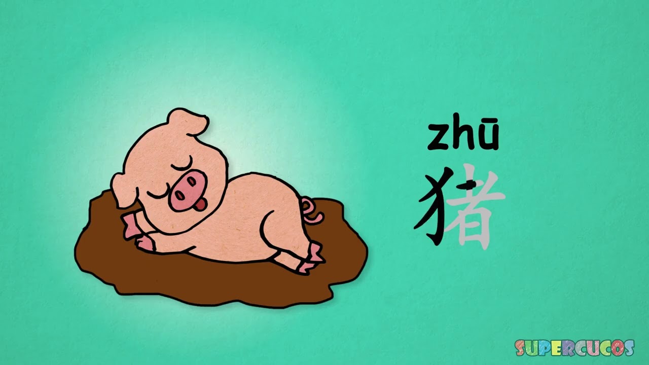 学中文 动物合辑   Learn Chinese for kids   Animals Compilation   Aprender Chino   Recopilación de animales