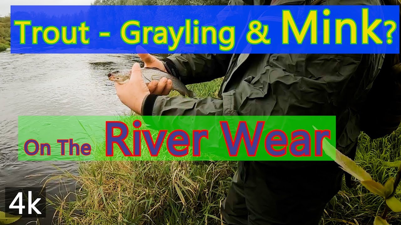 Fishing the river Wear at Page Bank