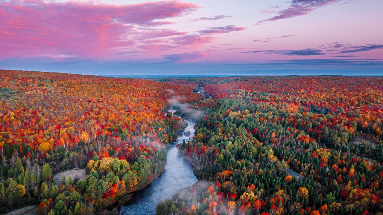 Off Grid in the Adirondacks 🍁 Autumn Foliage Hunting