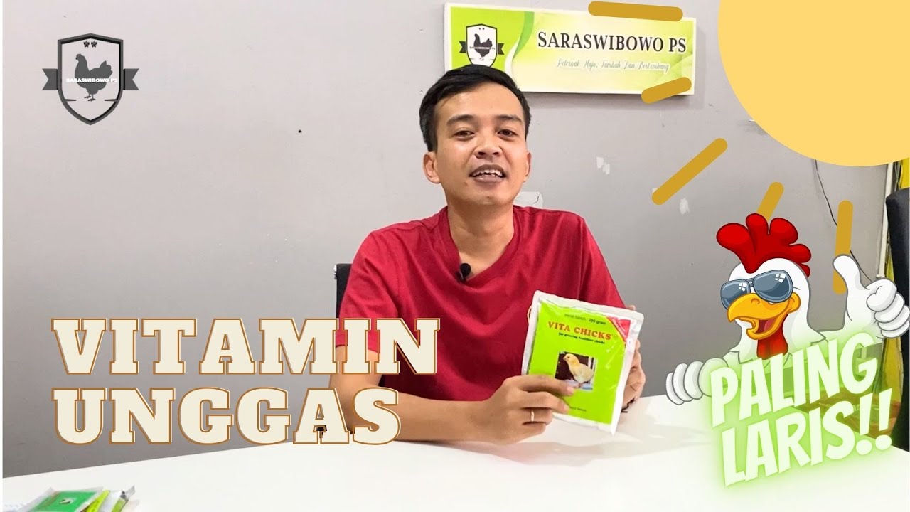 MULTIVITAMIN AMPUH PALING DICARI PETERNAK !!! |REVIEW VITACHICK