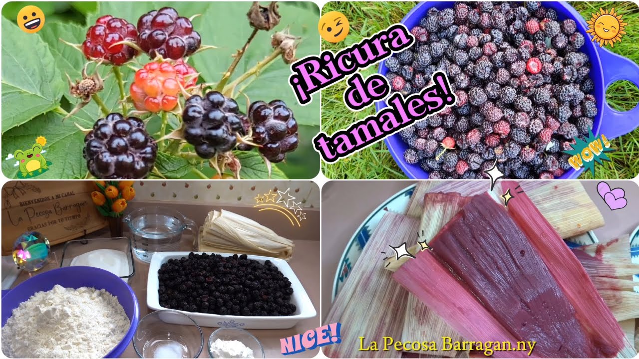 TAMALES DE  MORA SILVESTRE 