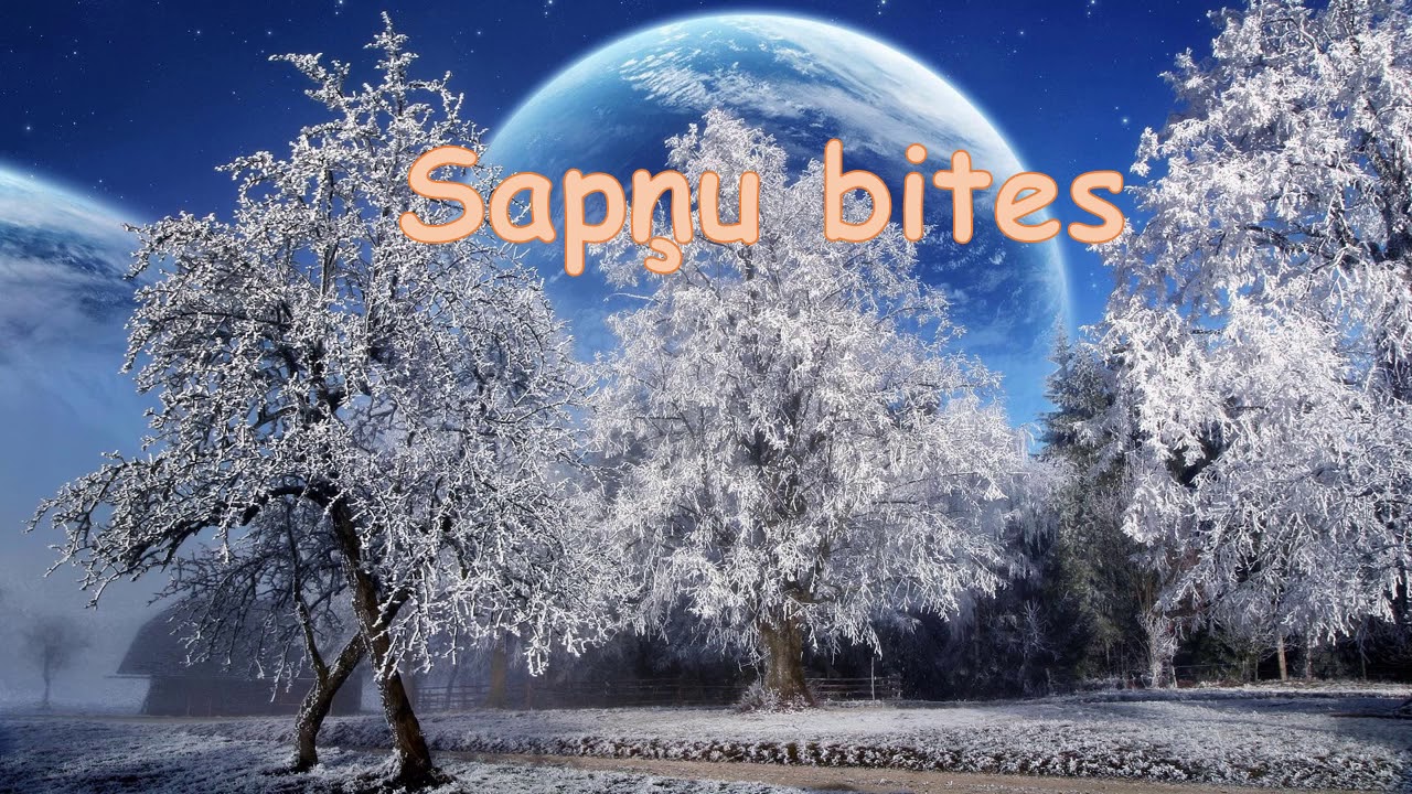 Sapņu bites