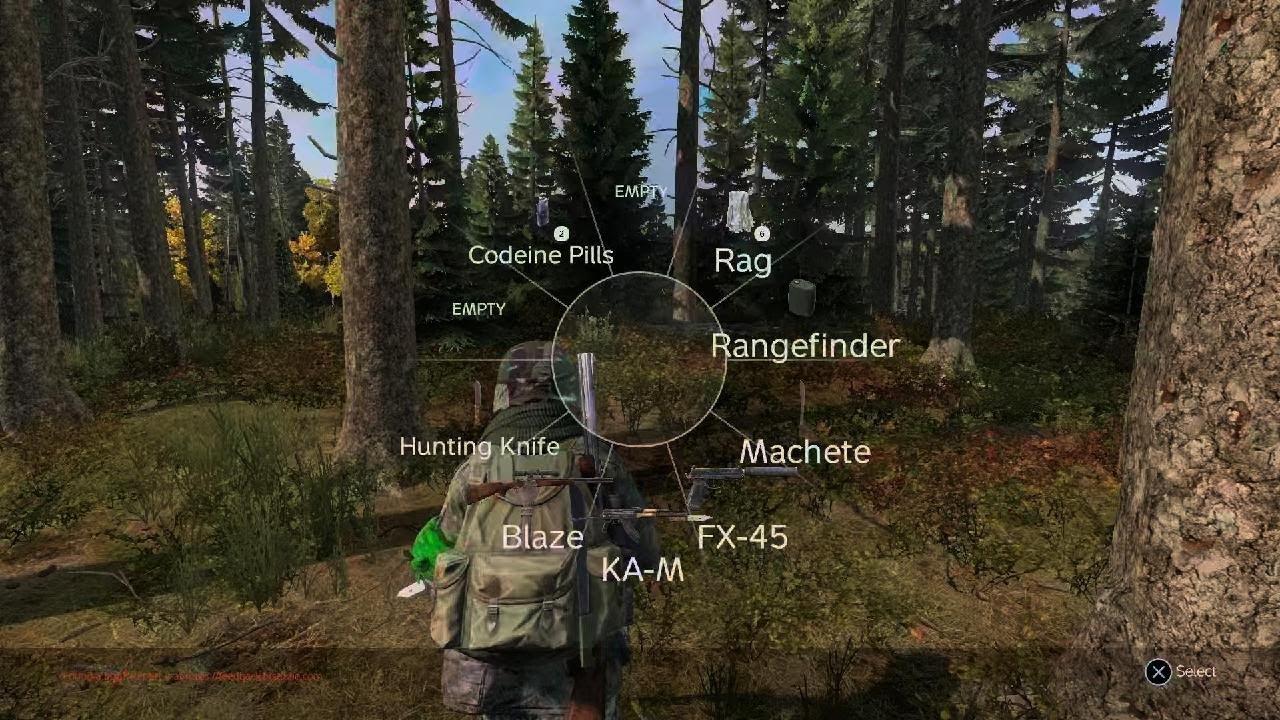 DayZ_20251229184954
