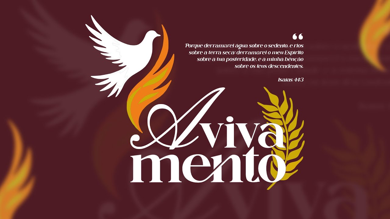 PÃO DA VIDA 10 ANOS | AVIVAMENTO | SÁBADO 22-11-2025