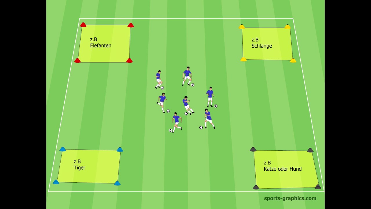 Bambini - G-Jugend Training - Der Zoo - Fussballtraining