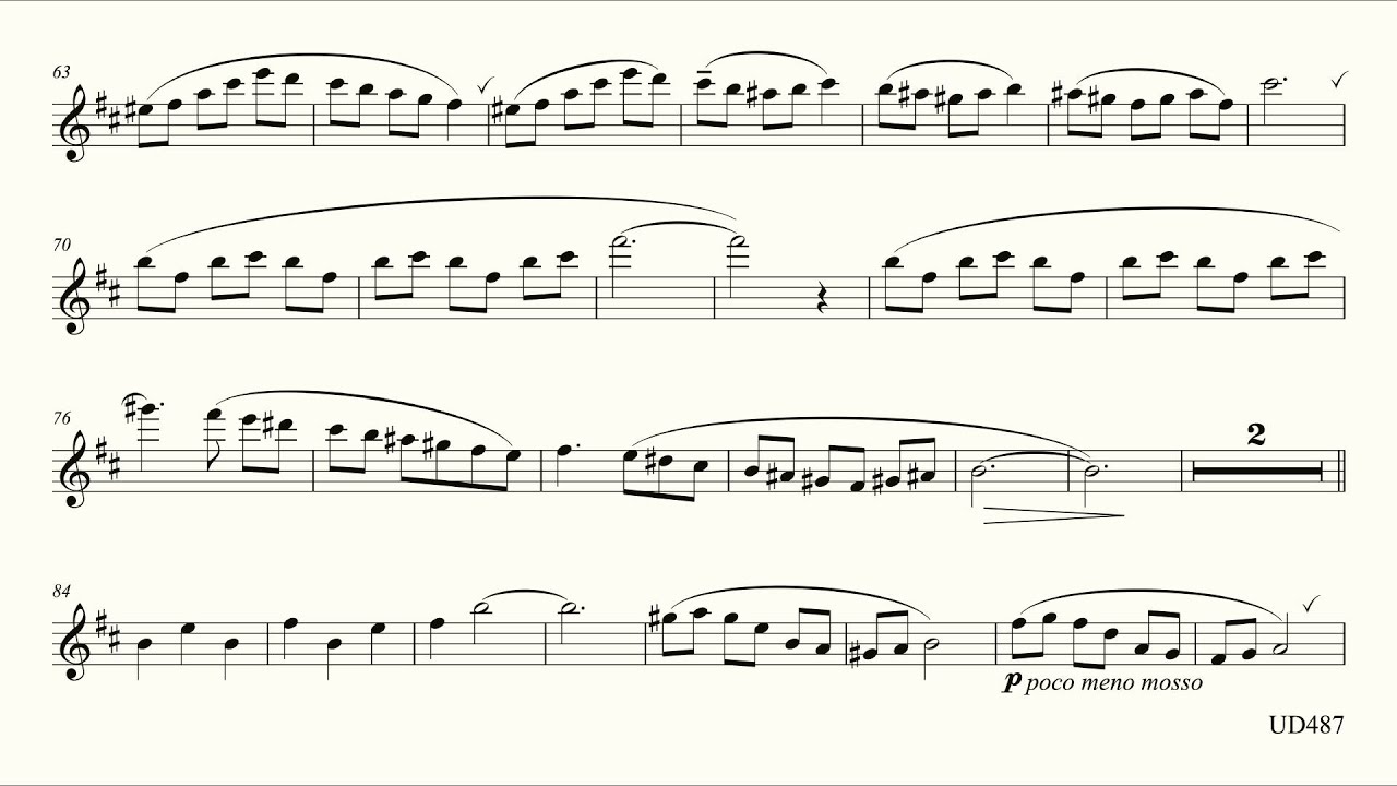Look! I'm Flying - flute and piano