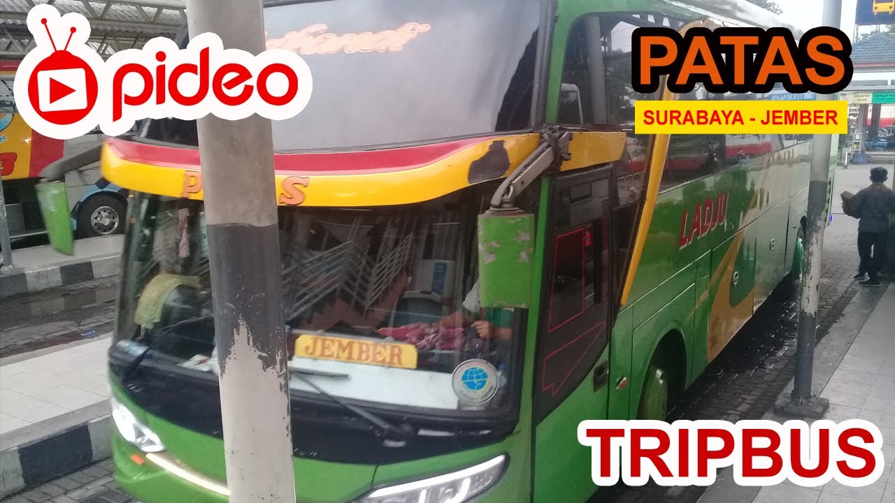 PIDEOBIS || Naik bis patas ladju surabaya - jember