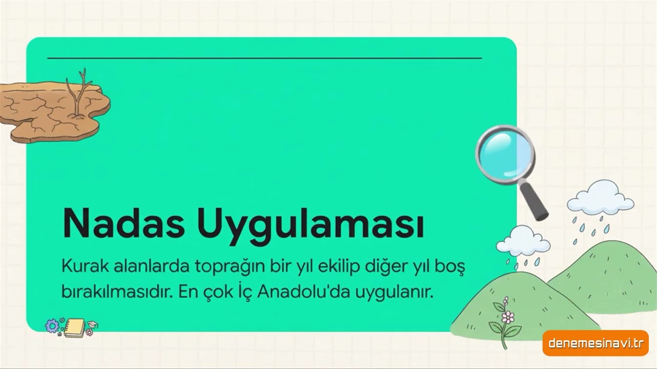Türkiye'de Tarım ve Hayvancılık: Devlet Kontrolü ve İntansif Tarım (Tek Videoda Tüm Detaylar)