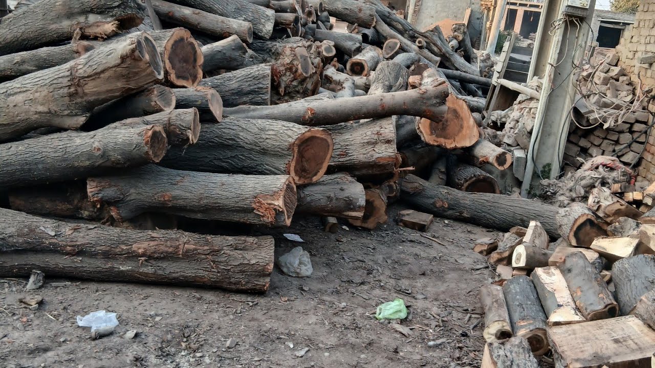 wood Operate  is live