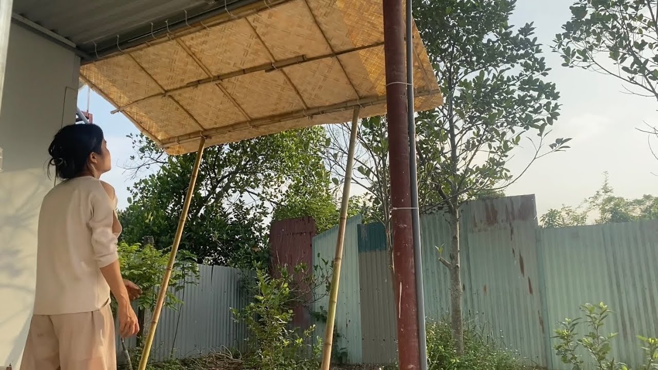 Make fertilizer, build a roof for the kitchen, make a chicken coop, and plant more trees!!!
