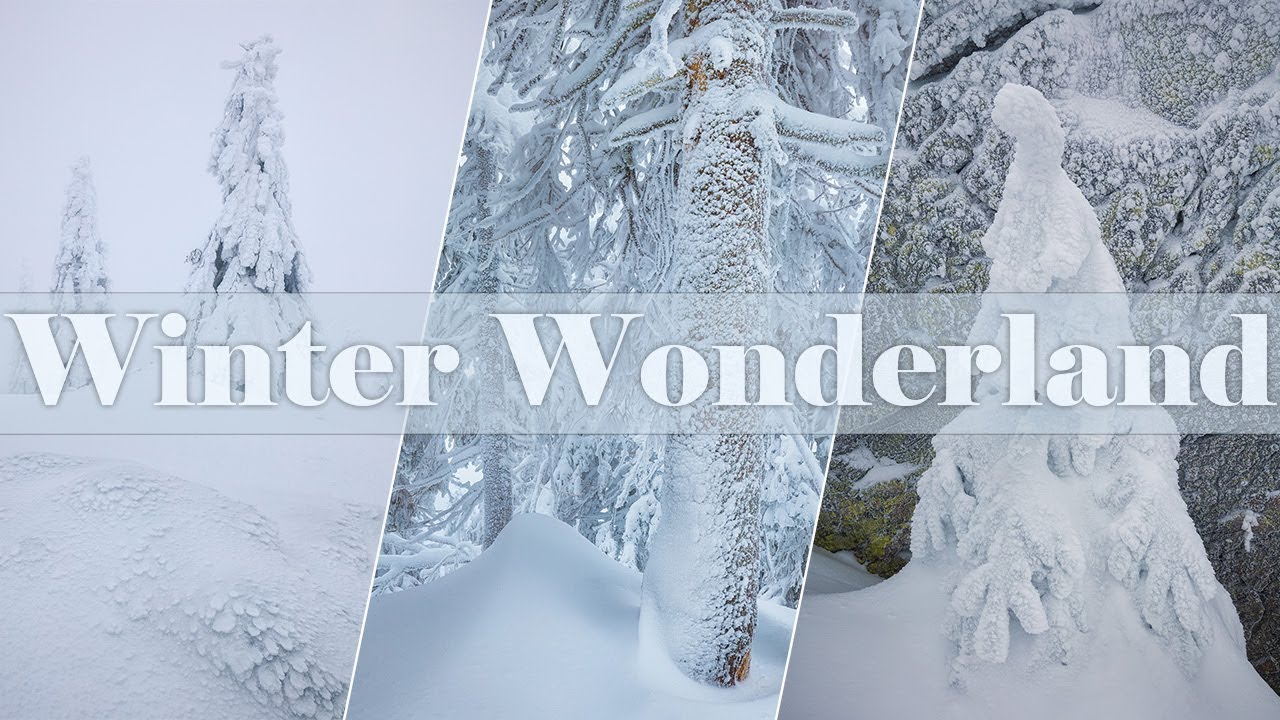 Photographing Winter Wonderland - Großer Arber Germany