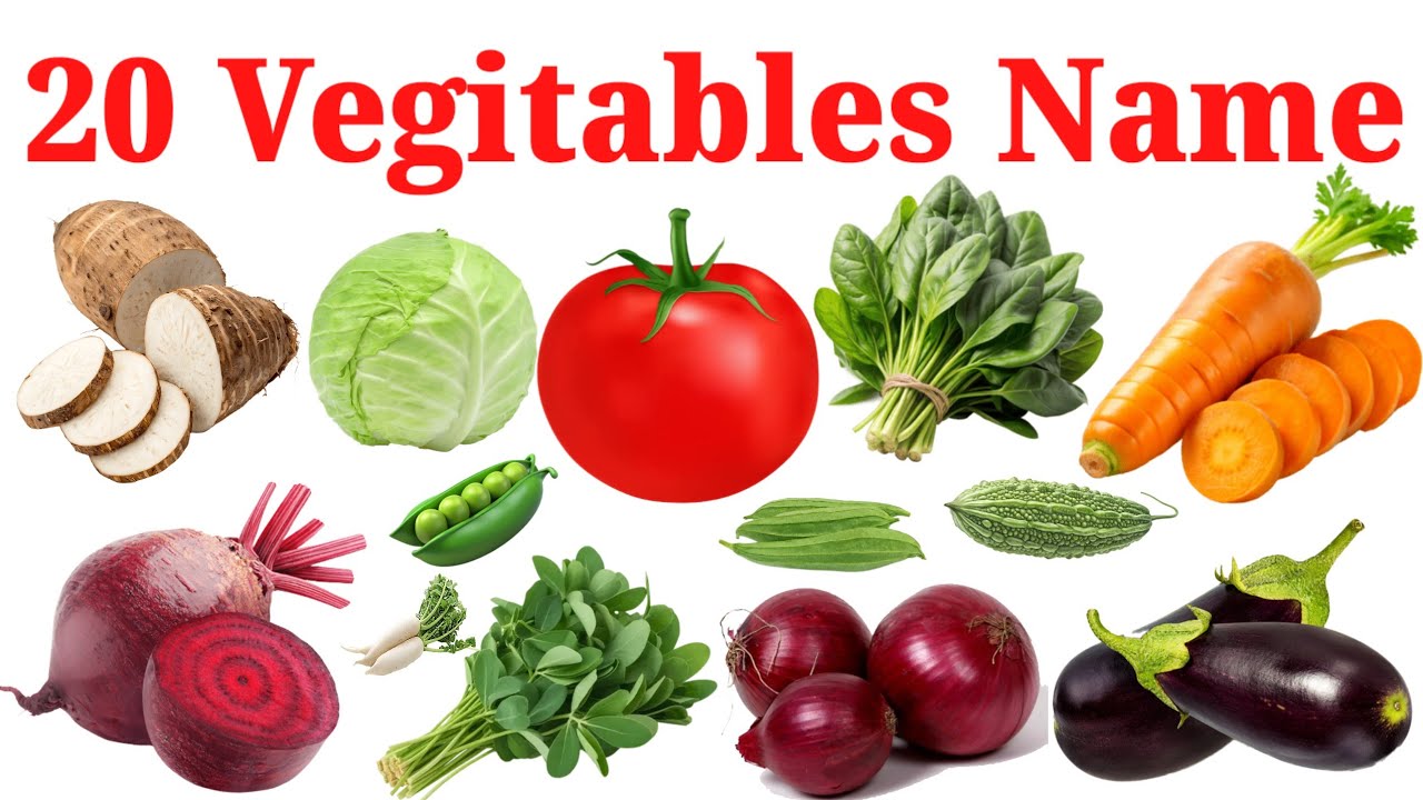 20 सब्जियों के नाम | Vegitable Name In Hindi And  English | Vegitable Name With Pictures Animation 