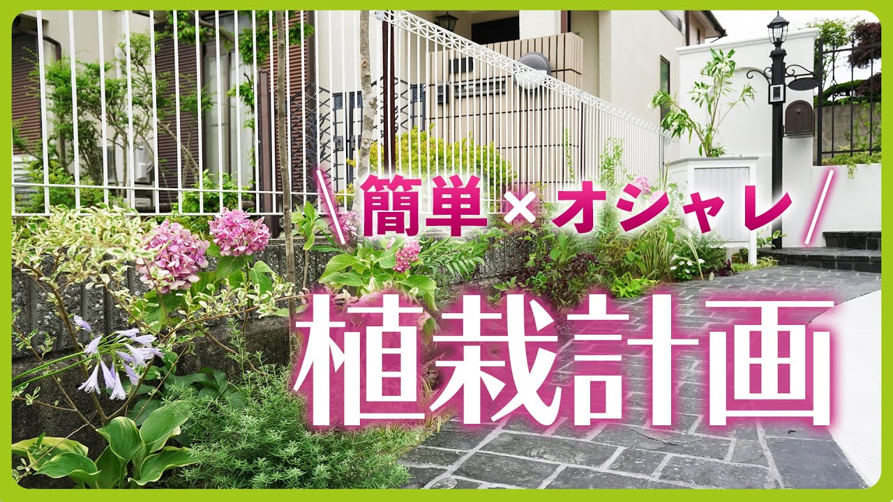 【ガーデニング初心者必見】管理が楽で育てやすい庭木・植物！門まわりにオススメの植栽と選び方 | シンボルツリー・寄せ植え