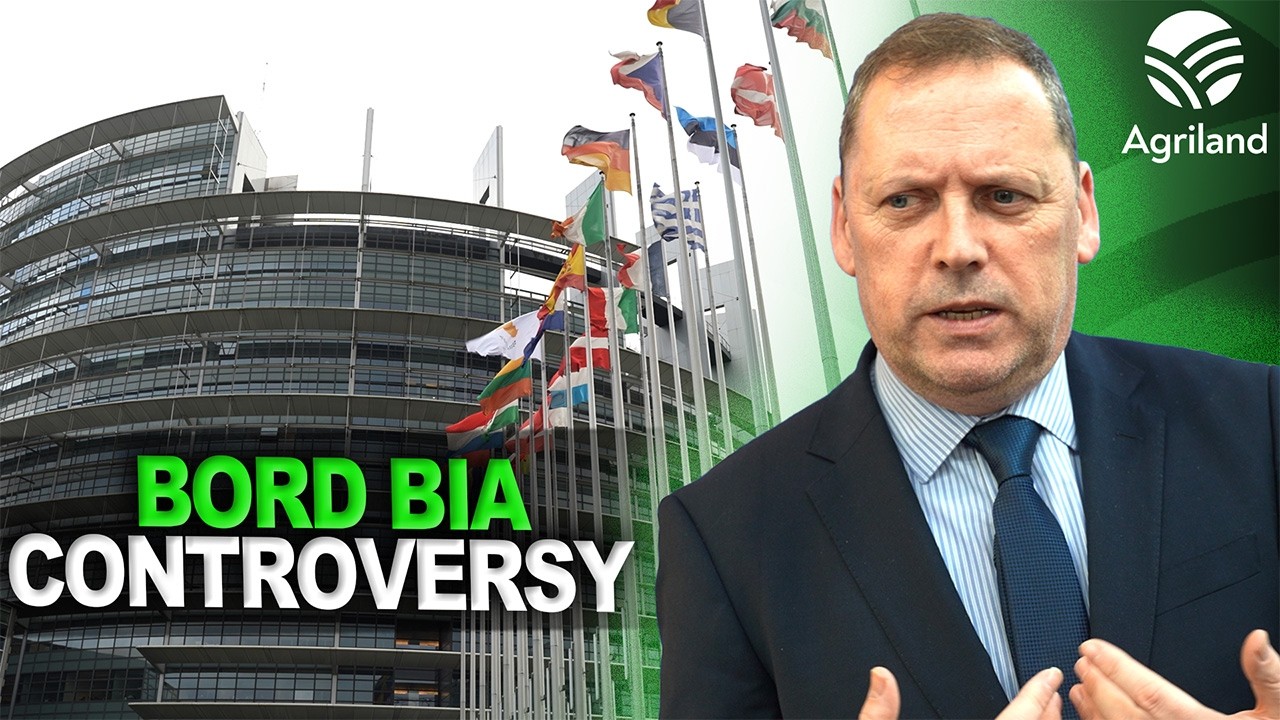 Barry Cowen speaks to Agriland in Strasbourg about Bord Bia's controversy