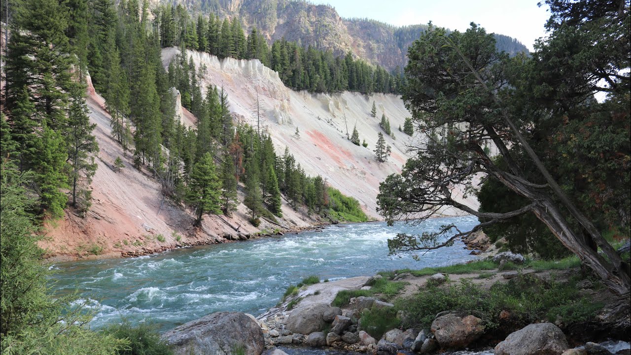 Fly fishing for Yellowstone Cutthroats- Day 1